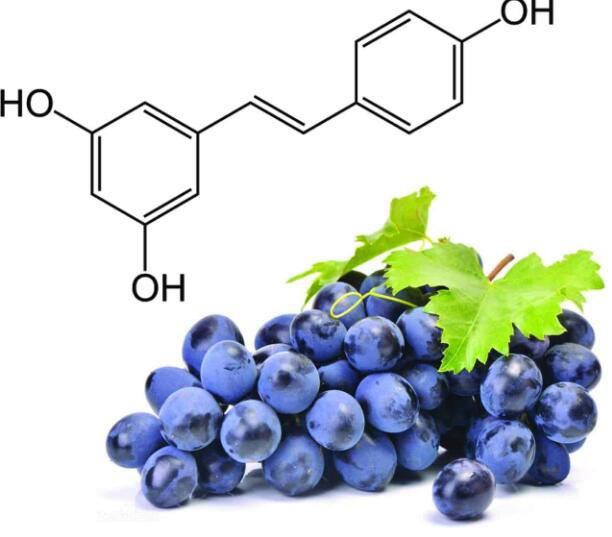 what is resveratrol