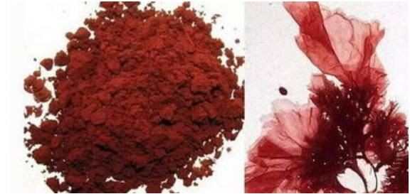 astaxanthin powder-1 astaxanthin powder-1