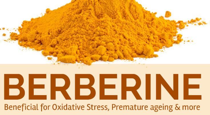 Berberine health benefits Berberine health benefits