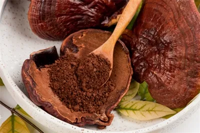 Funktionell muttersmörstillverkare: Reishi Mushroom Ingrediens guide