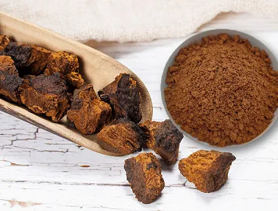 ID-testning för chagasvampextrakt: äkthet och kvalitet