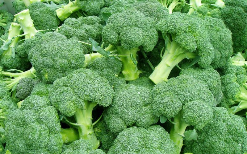 Broccolipulver - Otroligt näringsrikt