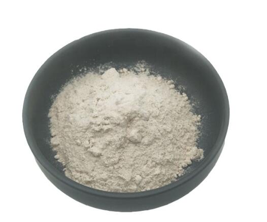 Bulk Psyllium Husk Powder