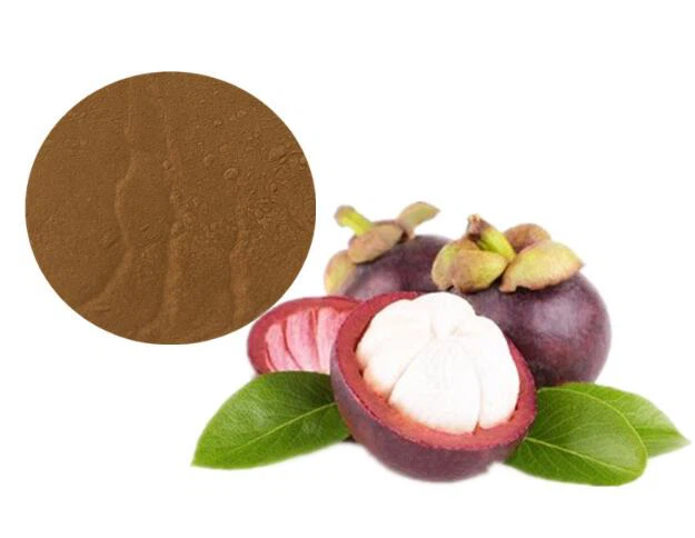 Mangostan extrakt